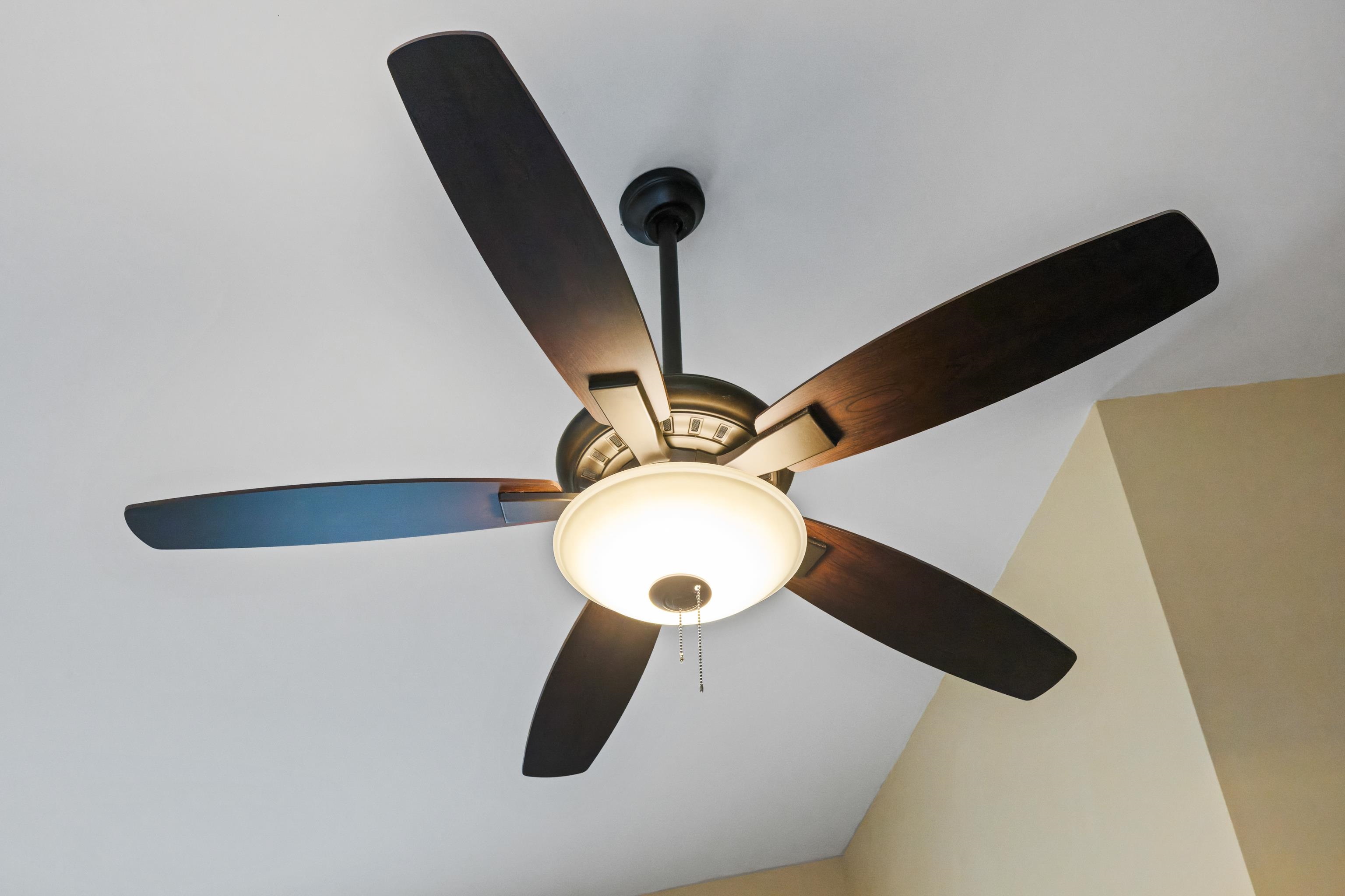 212 ALPHIN AVE, WAYNESBORO, Virginia 22980, 3 Bedrooms Bedrooms, ,1 BathroomBathrooms,Residential,212 ALPHIN AVE,674492 MLS # 674492