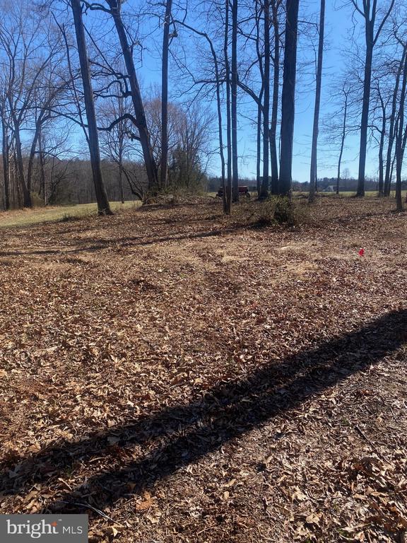 0 SKY RIDGE TRL, CULPEPER, Virginia 22701, ,Land,0 SKY RIDGE TRL,VACU2013002 MLS # VACU2013002