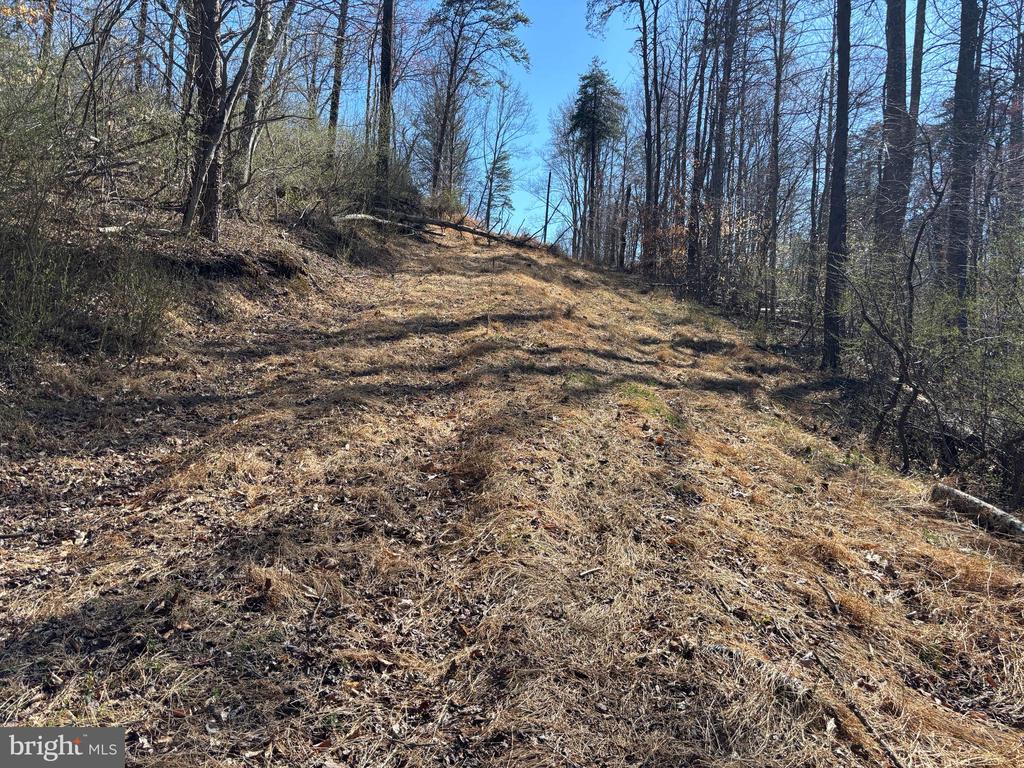 CARTERS RUN, MARSHALL, Virginia, ,Land,CARTERS RUN,VAFQ2020986 MLS # VAFQ2020986 CARTERS RUN, MARSHALL, Virginia, ,Land,CARTERS RUN,VAFQ2020986 MLS # VAFQ2020986