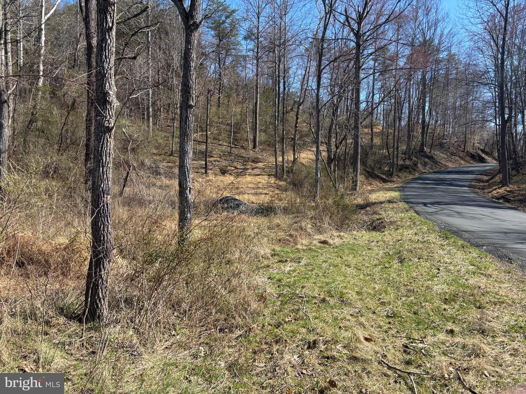 CARTERS RUN, MARSHALL, Virginia, ,Land,CARTERS RUN,VAFQ2020986 MLS # VAFQ2020986 CARTERS RUN, MARSHALL, Virginia, ,Land,CARTERS RUN,VAFQ2020986 MLS # VAFQ2020986
