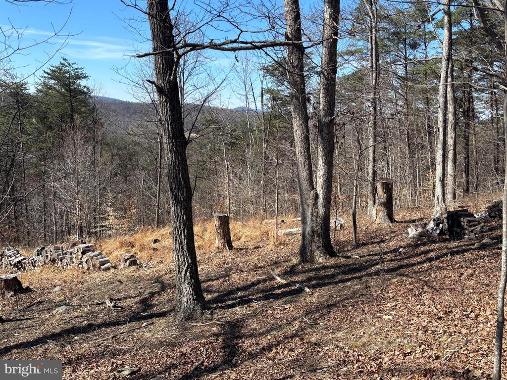 CARTERS RUN, MARSHALL, Virginia, ,Land,CARTERS RUN,VAFQ2020986 MLS # VAFQ2020986 CARTERS RUN, MARSHALL, Virginia, ,Land,CARTERS RUN,VAFQ2020986 MLS # VAFQ2020986