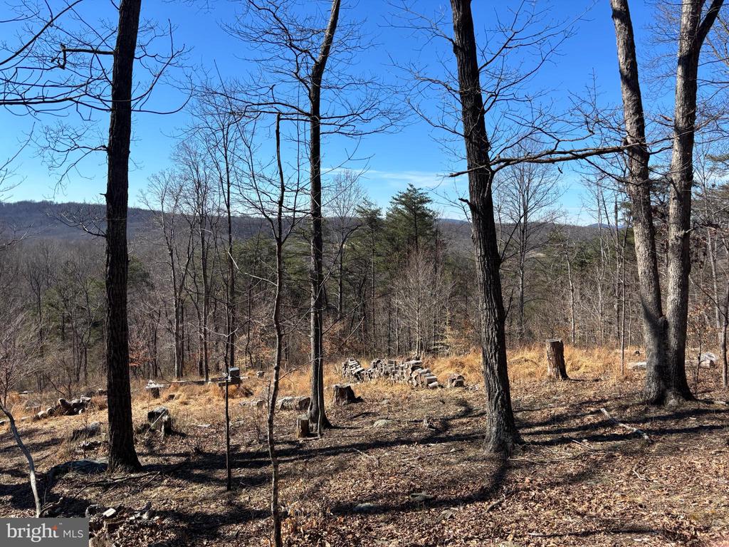 CARTERS RUN, MARSHALL, Virginia, ,Land,CARTERS RUN,VAFQ2020986 MLS # VAFQ2020986 CARTERS RUN, MARSHALL, Virginia, ,Land,CARTERS RUN,VAFQ2020986 MLS # VAFQ2020986