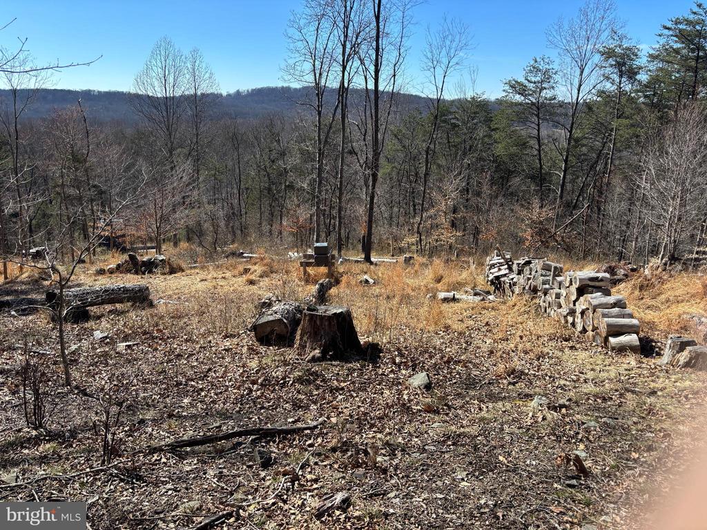 CARTERS RUN, MARSHALL, Virginia, ,Land,CARTERS RUN,VAFQ2020986 MLS # VAFQ2020986 CARTERS RUN, MARSHALL, Virginia, ,Land,CARTERS RUN,VAFQ2020986 MLS # VAFQ2020986