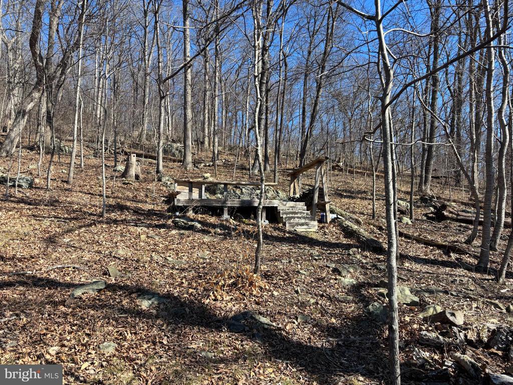 CARTERS RUN, MARSHALL, Virginia, ,Land,CARTERS RUN,VAFQ2020986 MLS # VAFQ2020986 CARTERS RUN, MARSHALL, Virginia, ,Land,CARTERS RUN,VAFQ2020986 MLS # VAFQ2020986