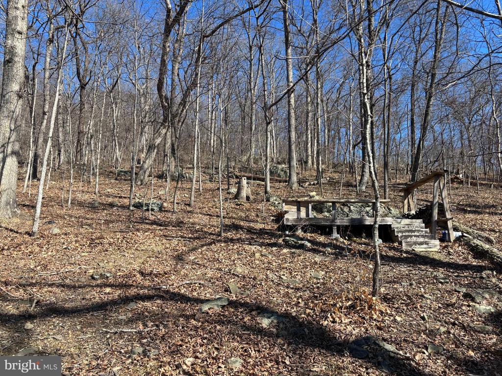 CARTERS RUN, MARSHALL, Virginia, ,Land,CARTERS RUN,VAFQ2020986 MLS # VAFQ2020986 CARTERS RUN, MARSHALL, Virginia, ,Land,CARTERS RUN,VAFQ2020986 MLS # VAFQ2020986