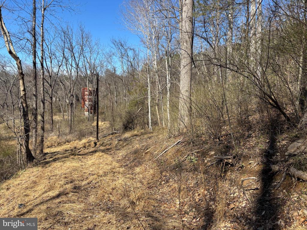 CARTERS RUN, MARSHALL, Virginia, ,Land,CARTERS RUN,VAFQ2020986 MLS # VAFQ2020986 CARTERS RUN, MARSHALL, Virginia, ,Land,CARTERS RUN,VAFQ2020986 MLS # VAFQ2020986