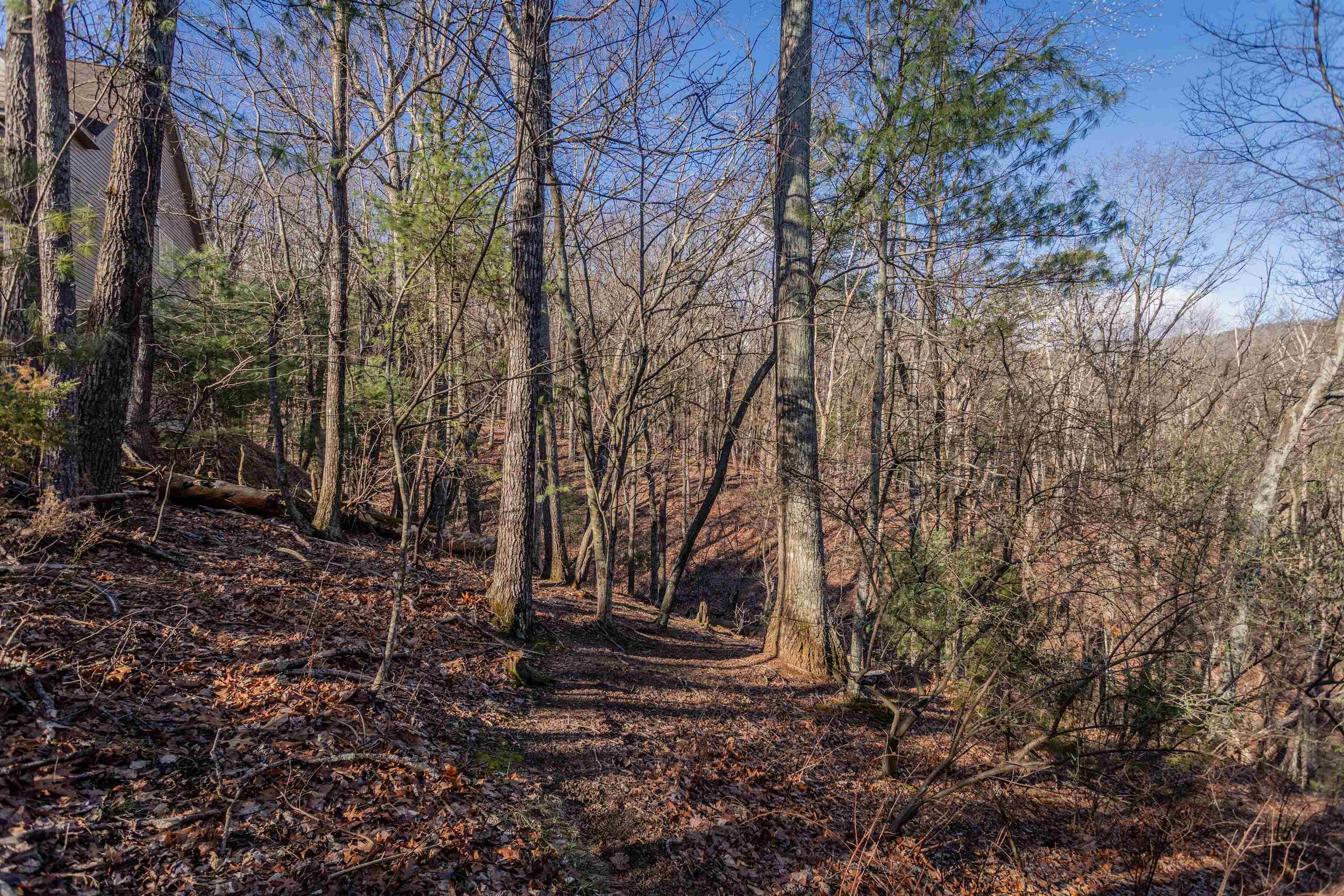 141 LAIRD PL, MCGAHEYSVILLE, Virginia 22840, ,Land,141 LAIRD PL,674569 MLS # 674569