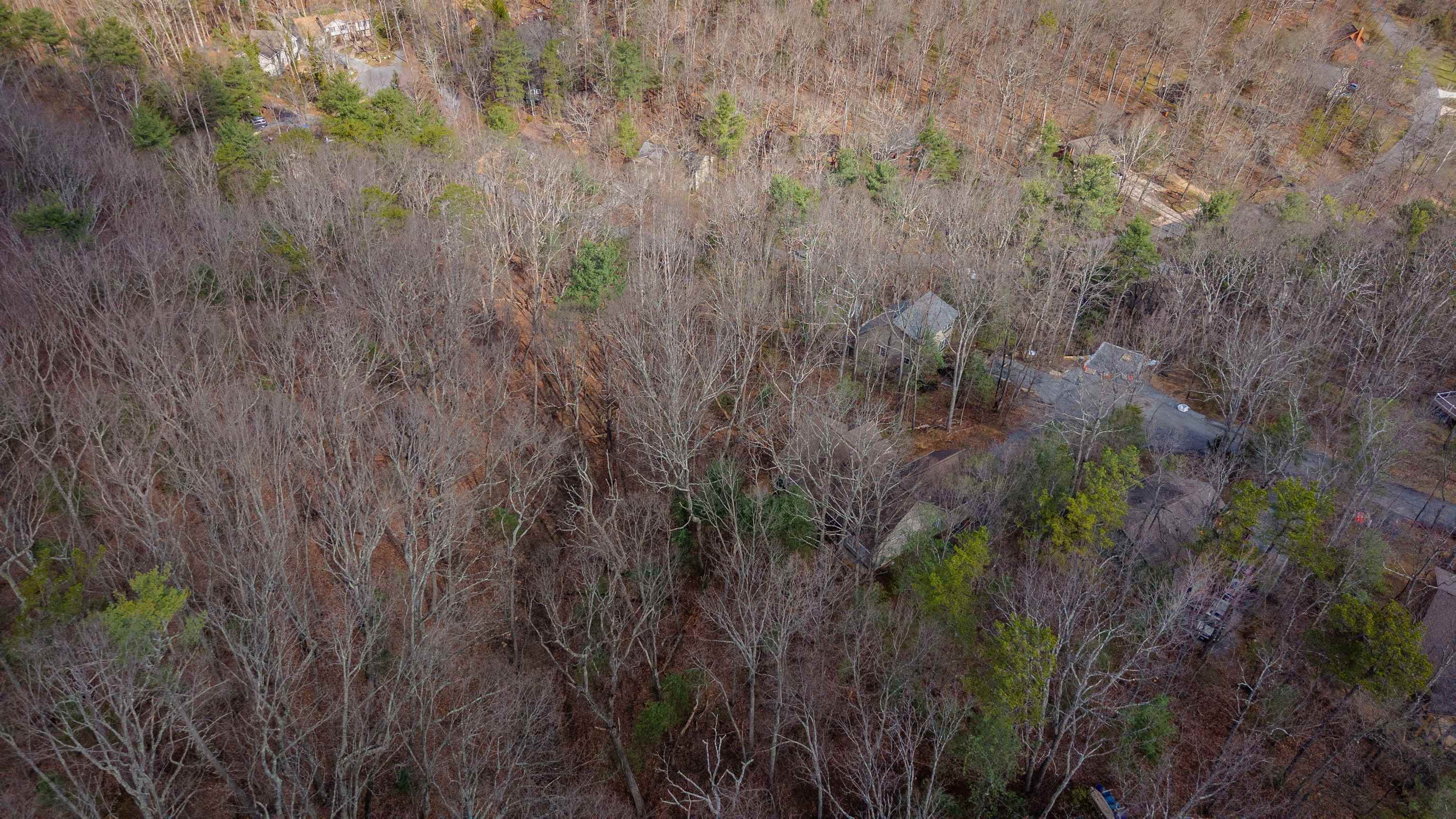 141 LAIRD PL, MCGAHEYSVILLE, Virginia 22840, ,Land,141 LAIRD PL,674569 MLS # 674569 141 LAIRD PL, MCGAHEYSVILLE, Virginia 22840, ,Land,141 LAIRD PL,674569 MLS # 674569