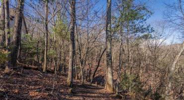 141 LAIRD PL, MCGAHEYSVILLE, Virginia 22840, ,Land,141 LAIRD PL,674569 MLS # 674569