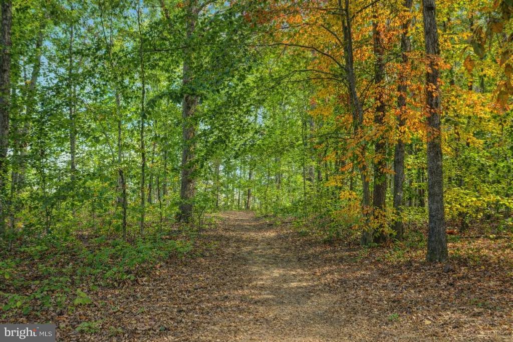 35623 PINE NEEDLE LN, LOCUST GROVE, Virginia 22508, 4 Bedrooms Bedrooms, ,2 BathroomsBathrooms,Residential,35623 PINE NEEDLE LN,VAOR2013562 MLS # VAOR2013562