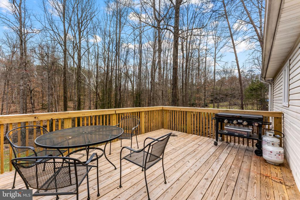 12660 HAZEL RIVER RD, RIXEYVILLE, Virginia 22737, 3 Bedrooms Bedrooms, ,2 BathroomsBathrooms,Residential,12660 HAZEL RIVER RD,VACU2012972 MLS # VACU2012972