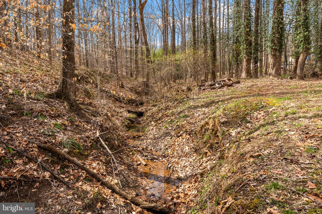 12660 HAZEL RIVER RD, RIXEYVILLE, Virginia 22737, 3 Bedrooms Bedrooms, ,2 BathroomsBathrooms,Residential,12660 HAZEL RIVER RD,VACU2012972 MLS # VACU2012972