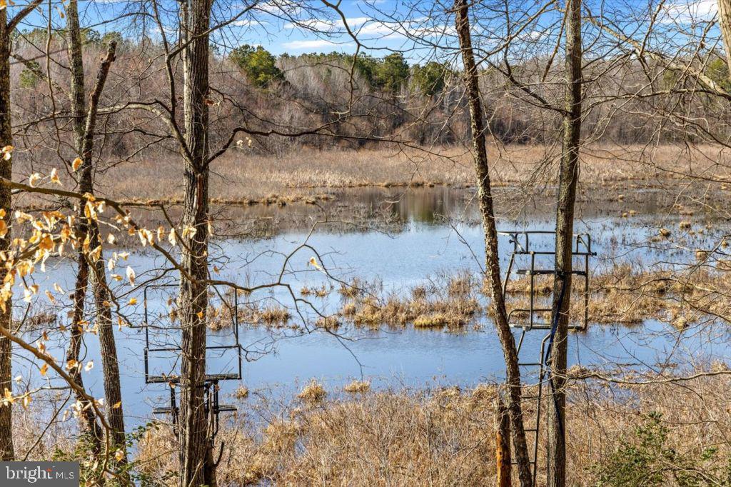 7610 DOWNSTREAM CT, FREDERICKSBURG, Virginia 22408, 4 Bedrooms Bedrooms, ,4 BathroomsBathrooms,Residential,7610 DOWNSTREAM CT,VASP2040074 MLS # VASP2040074