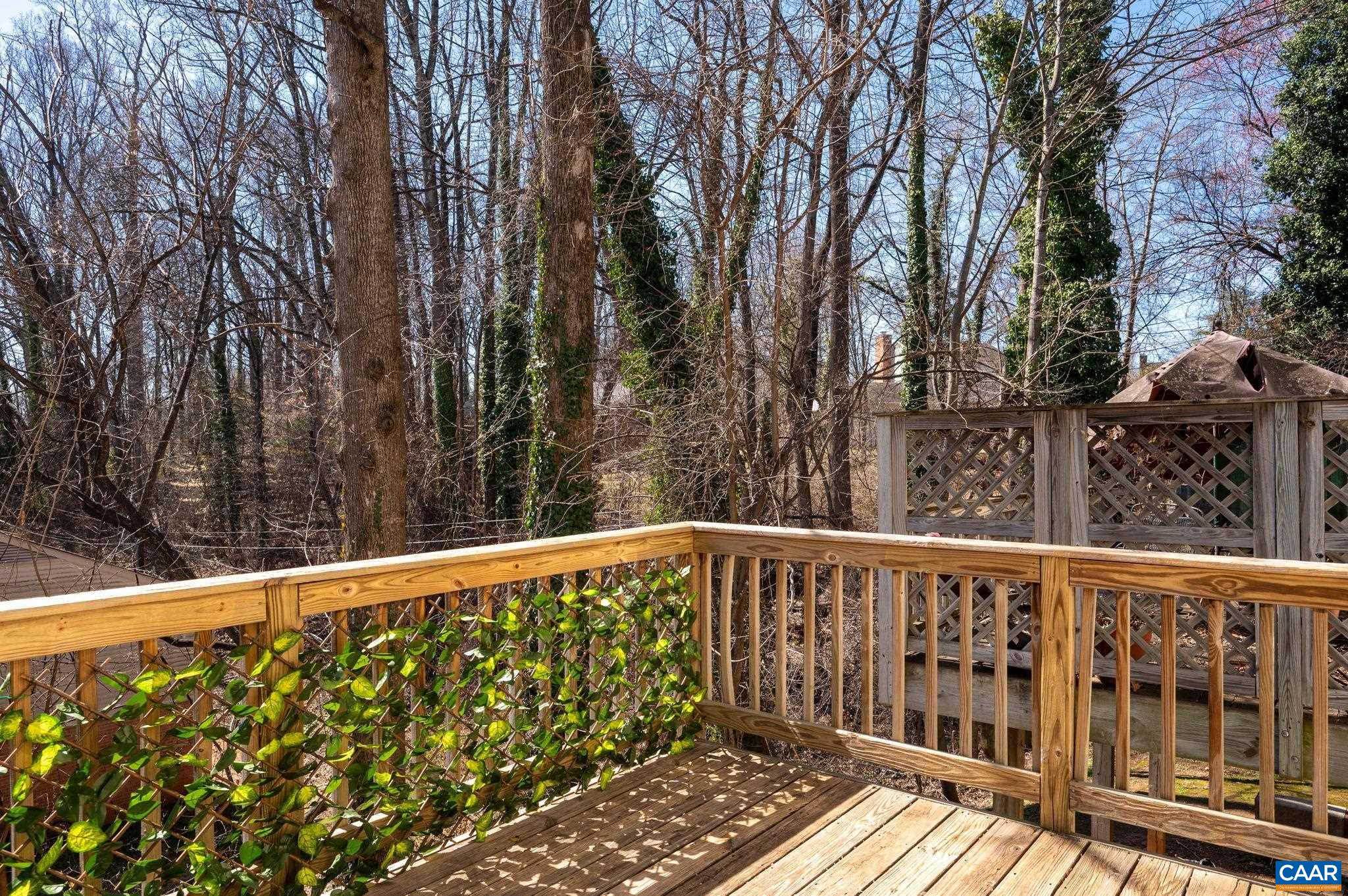 1041 CARRINGTON PL, CHARLOTTESVILLE, Virginia 22901, 3 Bedrooms Bedrooms, ,3 BathroomsBathrooms,Residential,1041 CARRINGTON PL,674191 MLS # 674191