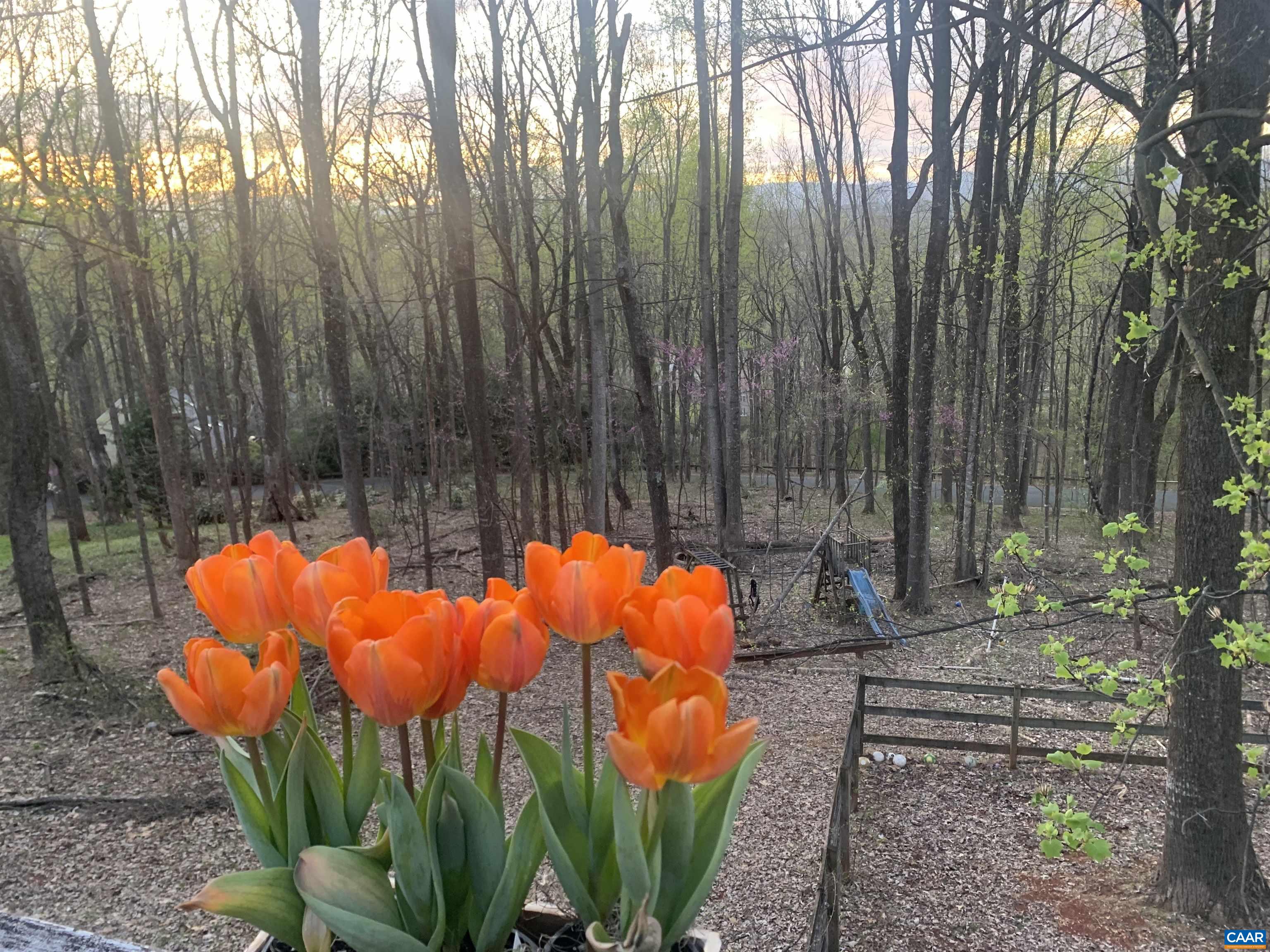 1880 NORTH PANTOPS DR, CHARLOTTESVILLE, Virginia 22911, 4 Bedrooms Bedrooms, ,3 BathroomsBathrooms,Residential,1880 NORTH PANTOPS DR,674415 MLS # 674415