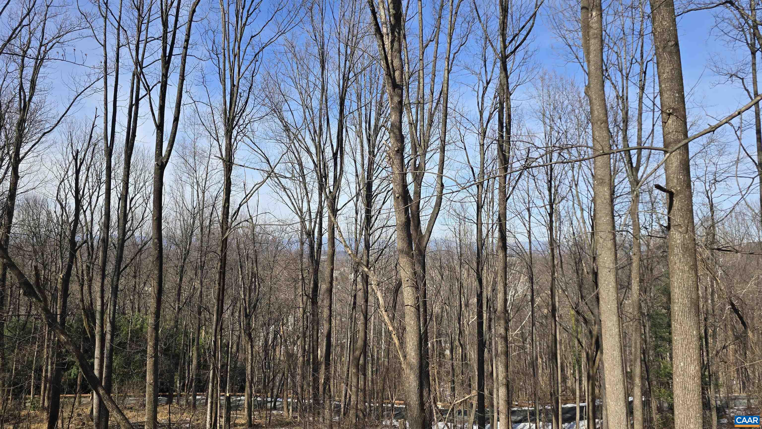 1880 NORTH PANTOPS DR, CHARLOTTESVILLE, Virginia 22911, 4 Bedrooms Bedrooms, ,3 BathroomsBathrooms,Residential,1880 NORTH PANTOPS DR,674415 MLS # 674415