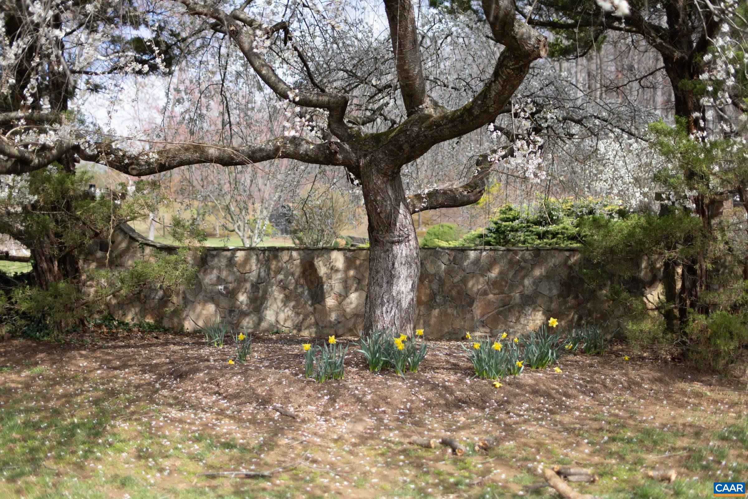 1325 BRANCHLANDS DR, CHARLOTTESVILLE, Virginia 22901, 2 Bedrooms Bedrooms, ,2 BathroomsBathrooms,Residential,1325 BRANCHLANDS DR,674433 MLS # 674433