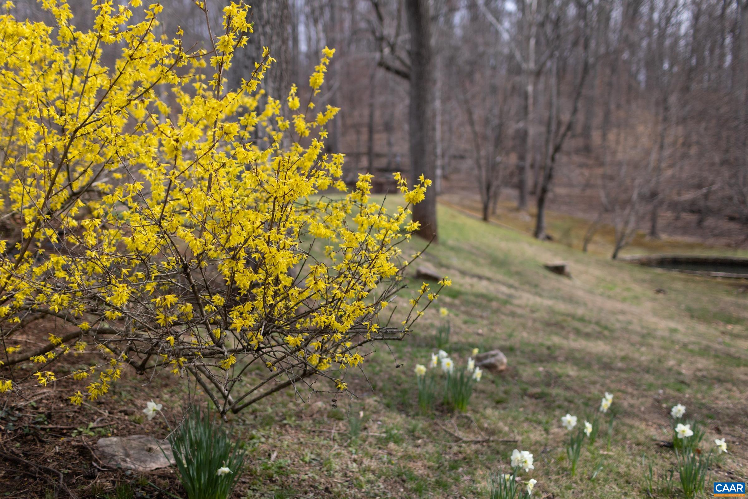 1325 BRANCHLANDS DR, CHARLOTTESVILLE, Virginia 22901, 2 Bedrooms Bedrooms, ,2 BathroomsBathrooms,Residential,1325 BRANCHLANDS DR,674433 MLS # 674433