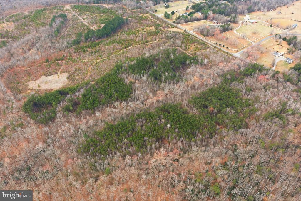 5239 DICKERSON RD, PARTLOW, Virginia 22534, ,Land,5239 DICKERSON RD,VASP2040100 MLS # VASP2040100