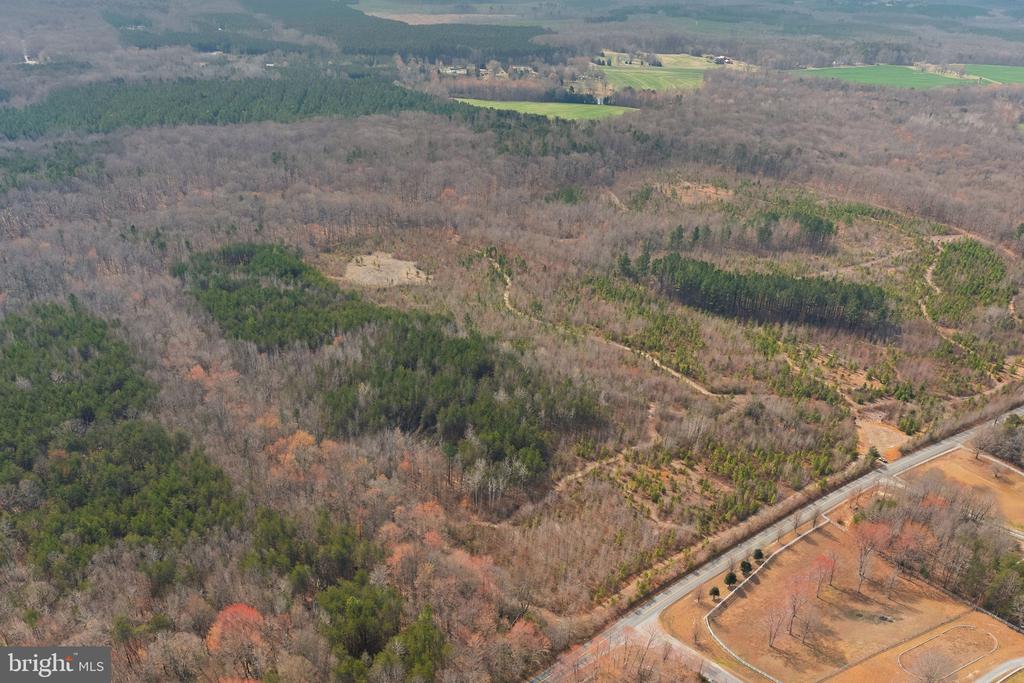 5190 DICKERSON RD, PARTLOW, Virginia 22534, ,Land,5190 DICKERSON RD,VASP2040102 MLS # VASP2040102