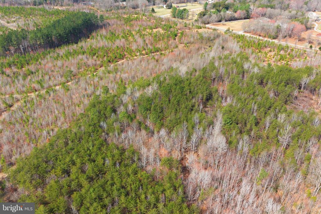 5190 DICKERSON RD, PARTLOW, Virginia 22534, ,Land,5190 DICKERSON RD,VASP2040102 MLS # VASP2040102