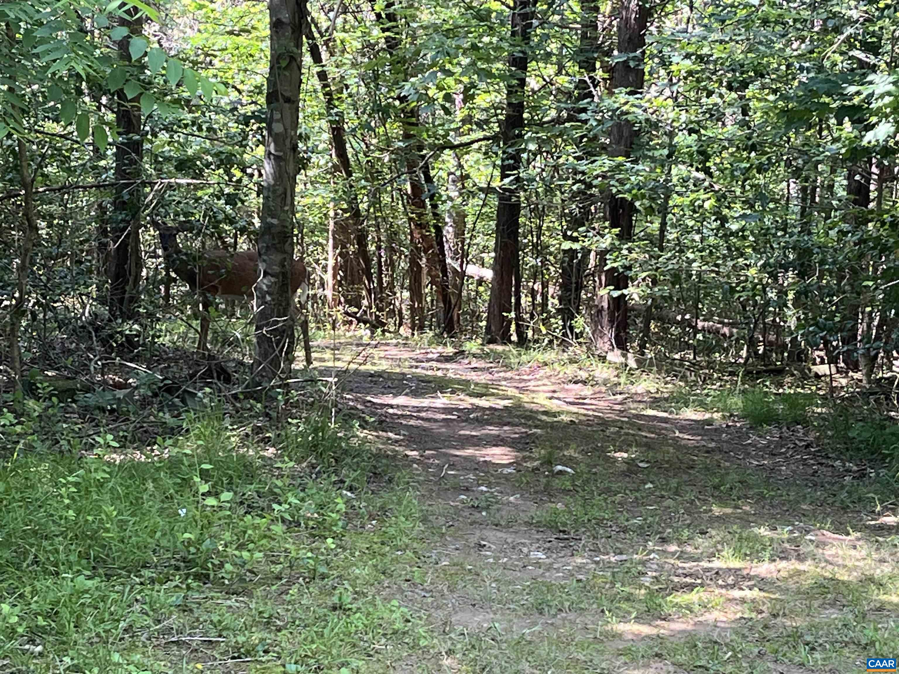 Existing road on parcel