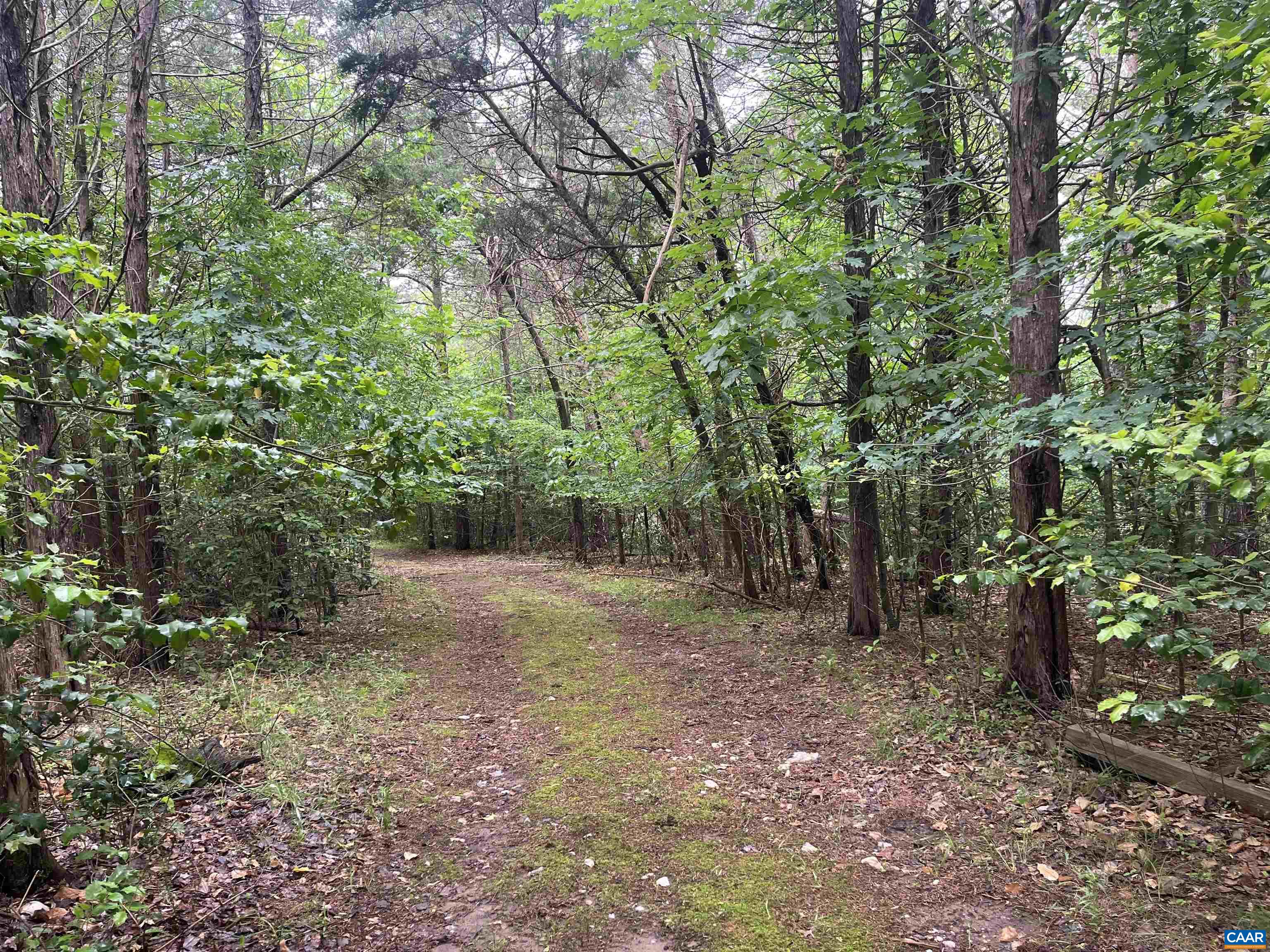 5878A BUFFALO RIVER RD, EARLYSVILLE, Virginia 22936, ,Land,5878A BUFFALO RIVER RD,665408 MLS # 665408