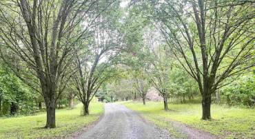 Entry shared driveway