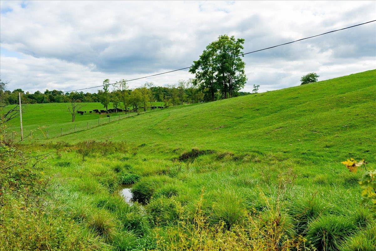 TBD KNUPP RD, TIMBERVILLE, Virginia 22853, ,Land,TBD KNUPP RD,674582 MLS # 674582