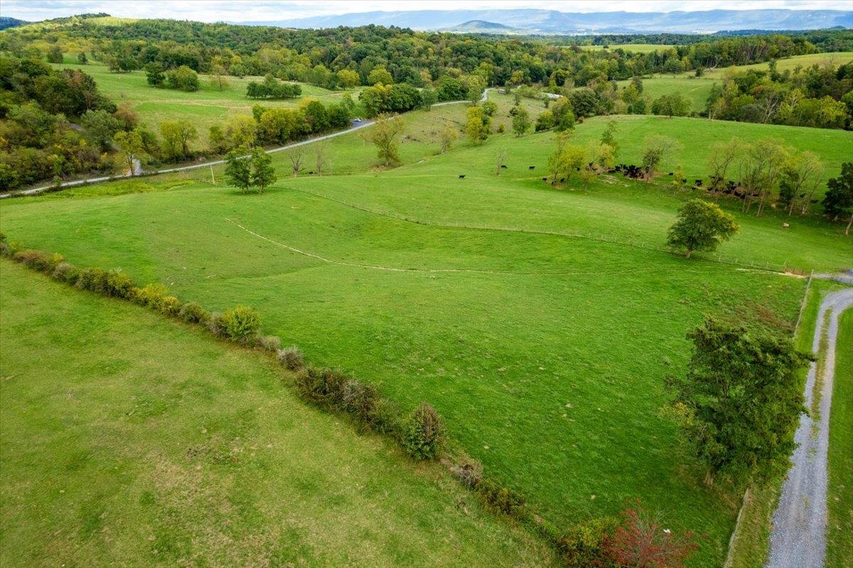 TBD KNUPP RD, TIMBERVILLE, Virginia 22853, ,Land,TBD KNUPP RD,674582 MLS # 674582