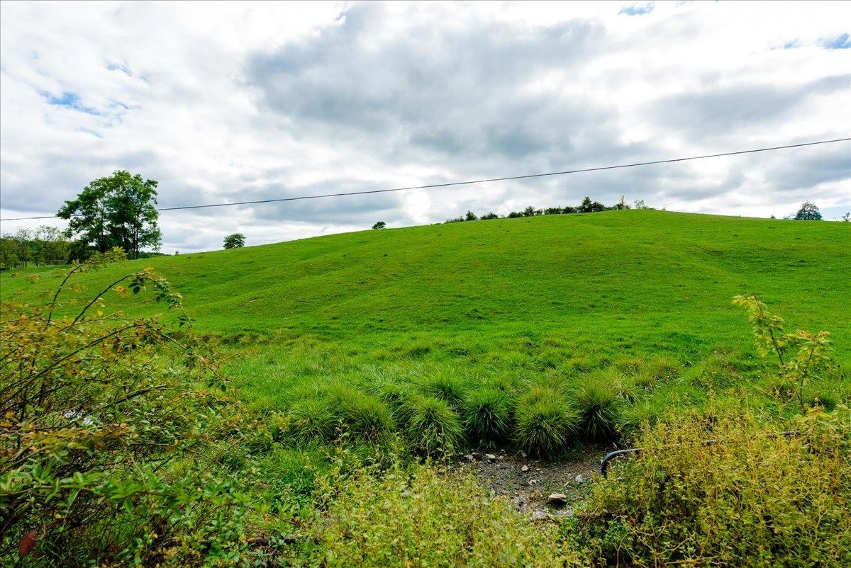 TBD KNUPP RD, TIMBERVILLE, Virginia 22853, ,Land,TBD KNUPP RD,674582 MLS # 674582