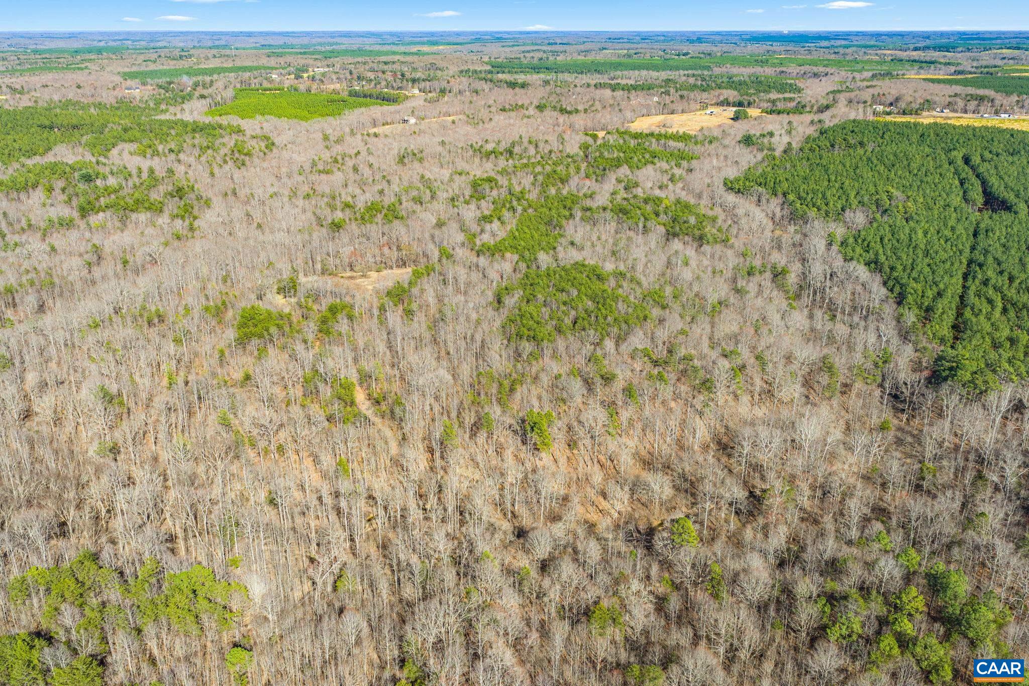 12145 S CONSTITUTION RTE, SCOTTSVILLE, Virginia 24590, ,Farm,12145 S CONSTITUTION RTE,674584 MLS # 674584 12145 S CONSTITUTION RTE, SCOTTSVILLE, Virginia 24590, ,Farm,12145 S CONSTITUTION RTE,674584 MLS # 674584
