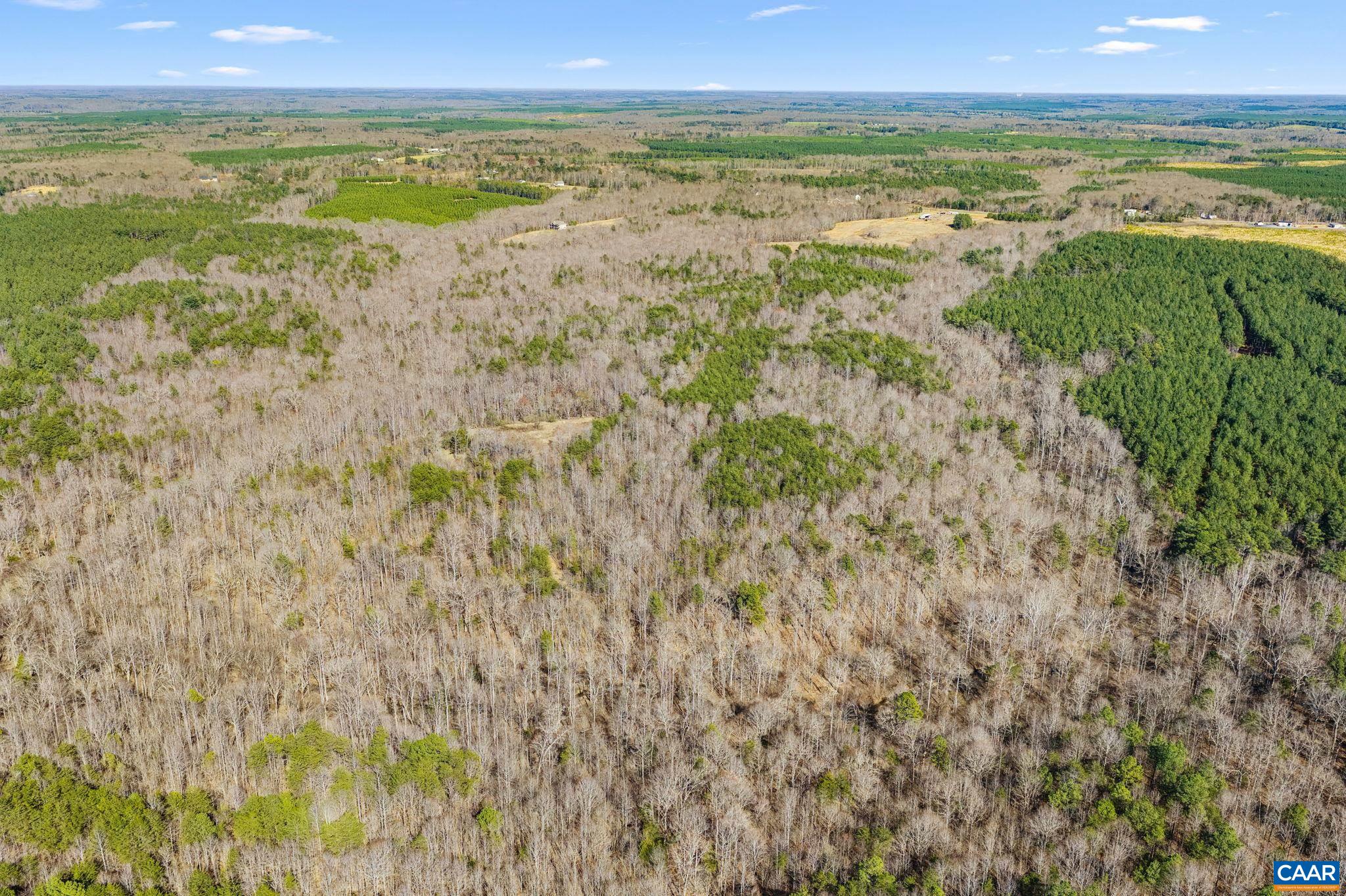 12145 S CONSTITUTION RTE, SCOTTSVILLE, Virginia 24590, ,Farm,12145 S CONSTITUTION RTE,674584 MLS # 674584 12145 S CONSTITUTION RTE, SCOTTSVILLE, Virginia 24590, ,Farm,12145 S CONSTITUTION RTE,674584 MLS # 674584