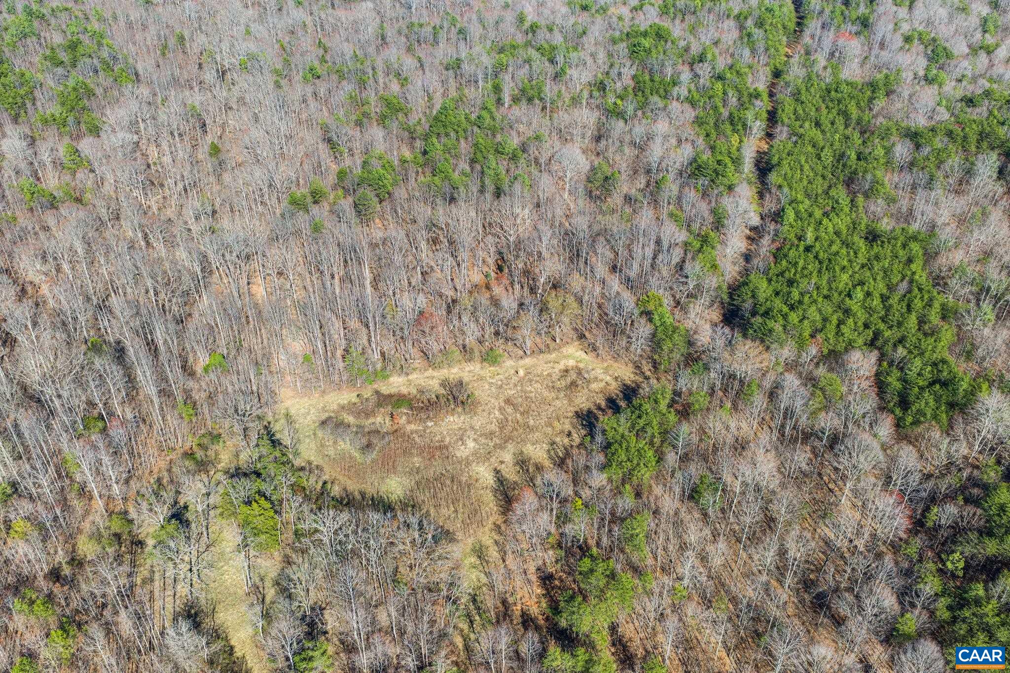 12145 S CONSTITUTION RTE, SCOTTSVILLE, Virginia 24590, ,Farm,12145 S CONSTITUTION RTE,674584 MLS # 674584 12145 S CONSTITUTION RTE, SCOTTSVILLE, Virginia 24590, ,Farm,12145 S CONSTITUTION RTE,674584 MLS # 674584