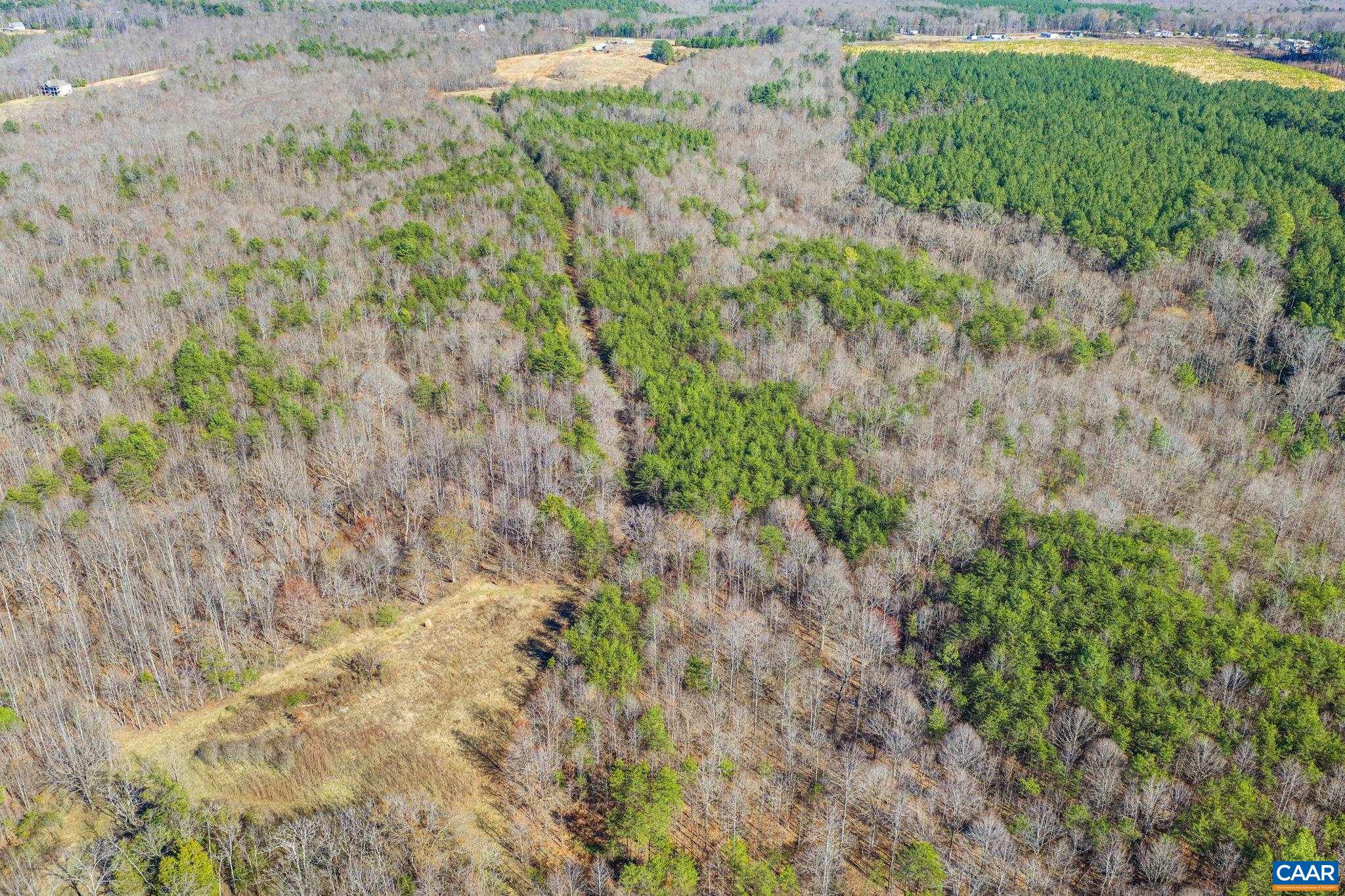 12145 S CONSTITUTION RTE, SCOTTSVILLE, Virginia 24590, ,Farm,12145 S CONSTITUTION RTE,674584 MLS # 674584 12145 S CONSTITUTION RTE, SCOTTSVILLE, Virginia 24590, ,Farm,12145 S CONSTITUTION RTE,674584 MLS # 674584