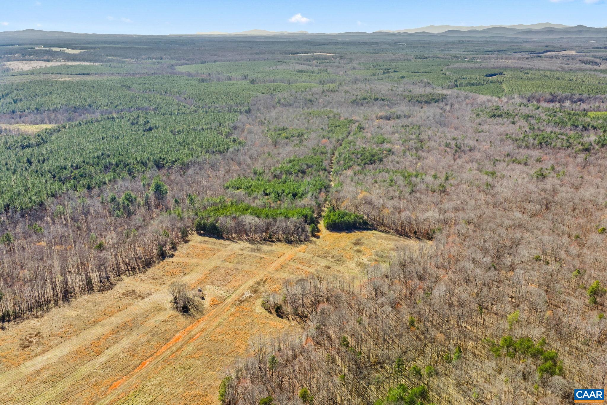 12145 S CONSTITUTION RTE, SCOTTSVILLE, Virginia 24590, ,Farm,12145 S CONSTITUTION RTE,674584 MLS # 674584 12145 S CONSTITUTION RTE, SCOTTSVILLE, Virginia 24590, ,Farm,12145 S CONSTITUTION RTE,674584 MLS # 674584