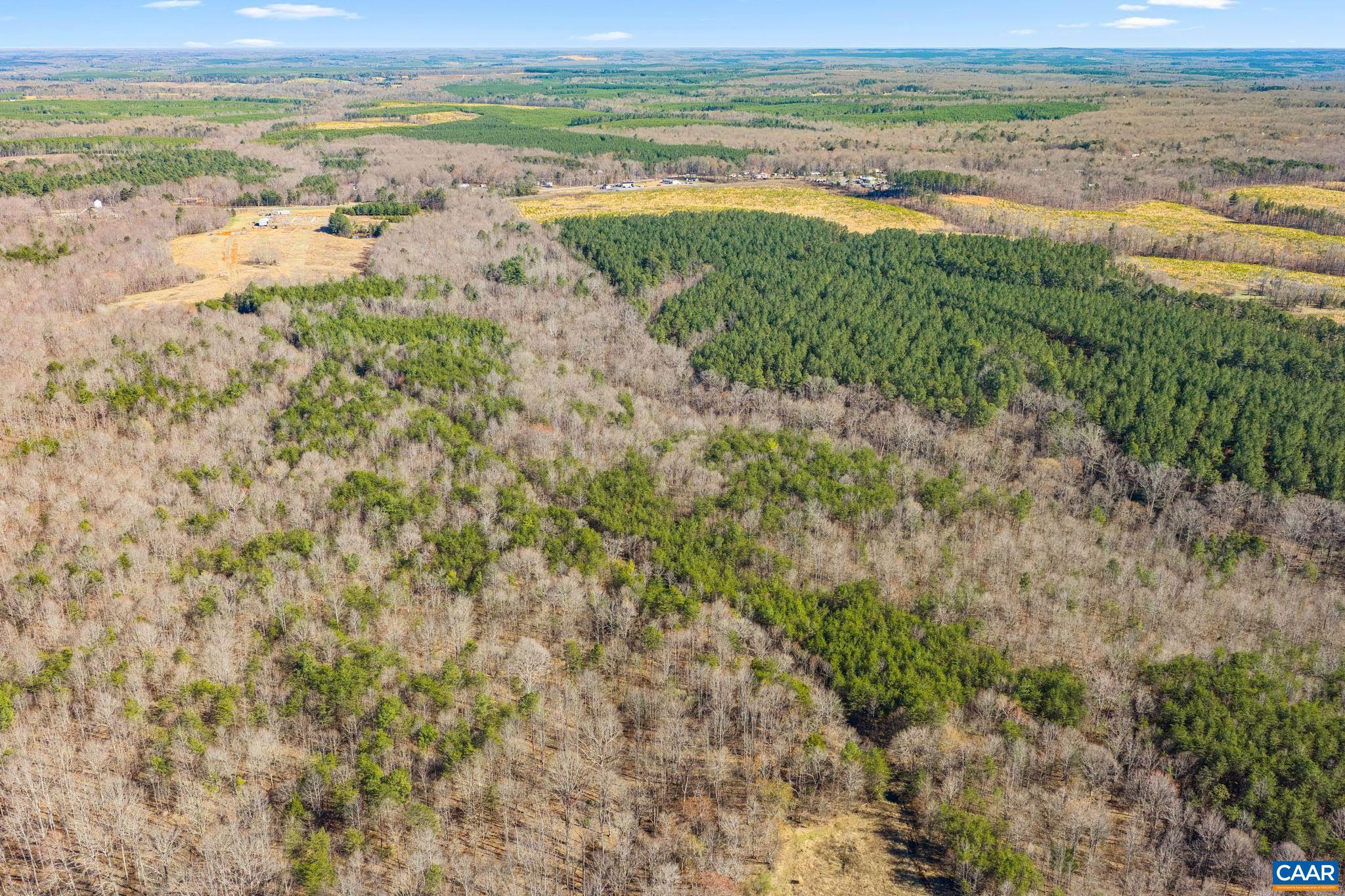 12145 S CONSTITUTION RTE, SCOTTSVILLE, Virginia 24590, ,Farm,12145 S CONSTITUTION RTE,674584 MLS # 674584 12145 S CONSTITUTION RTE, SCOTTSVILLE, Virginia 24590, ,Farm,12145 S CONSTITUTION RTE,674584 MLS # 674584