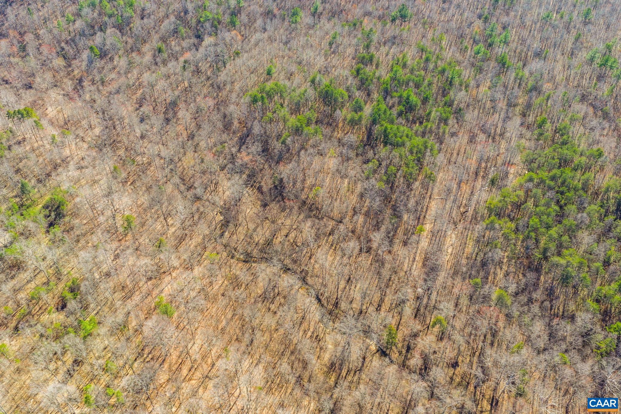 12145 S CONSTITUTION RTE, SCOTTSVILLE, Virginia 24590, ,Farm,12145 S CONSTITUTION RTE,674584 MLS # 674584 12145 S CONSTITUTION RTE, SCOTTSVILLE, Virginia 24590, ,Farm,12145 S CONSTITUTION RTE,674584 MLS # 674584