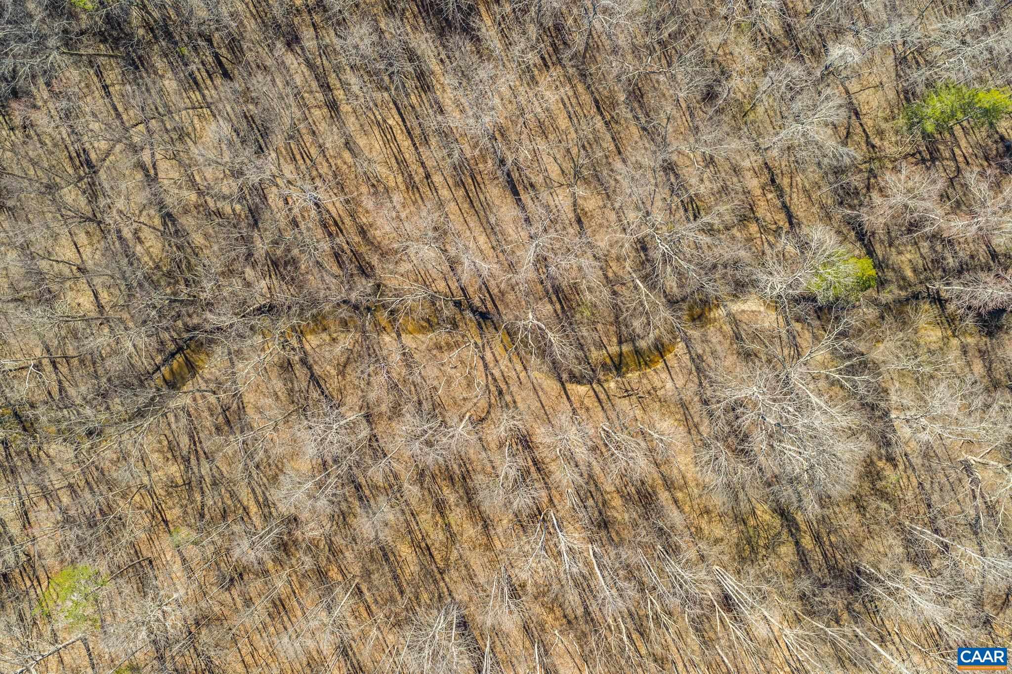 12145 S CONSTITUTION RTE, SCOTTSVILLE, Virginia 24590, ,Farm,12145 S CONSTITUTION RTE,674584 MLS # 674584 12145 S CONSTITUTION RTE, SCOTTSVILLE, Virginia 24590, ,Farm,12145 S CONSTITUTION RTE,674584 MLS # 674584