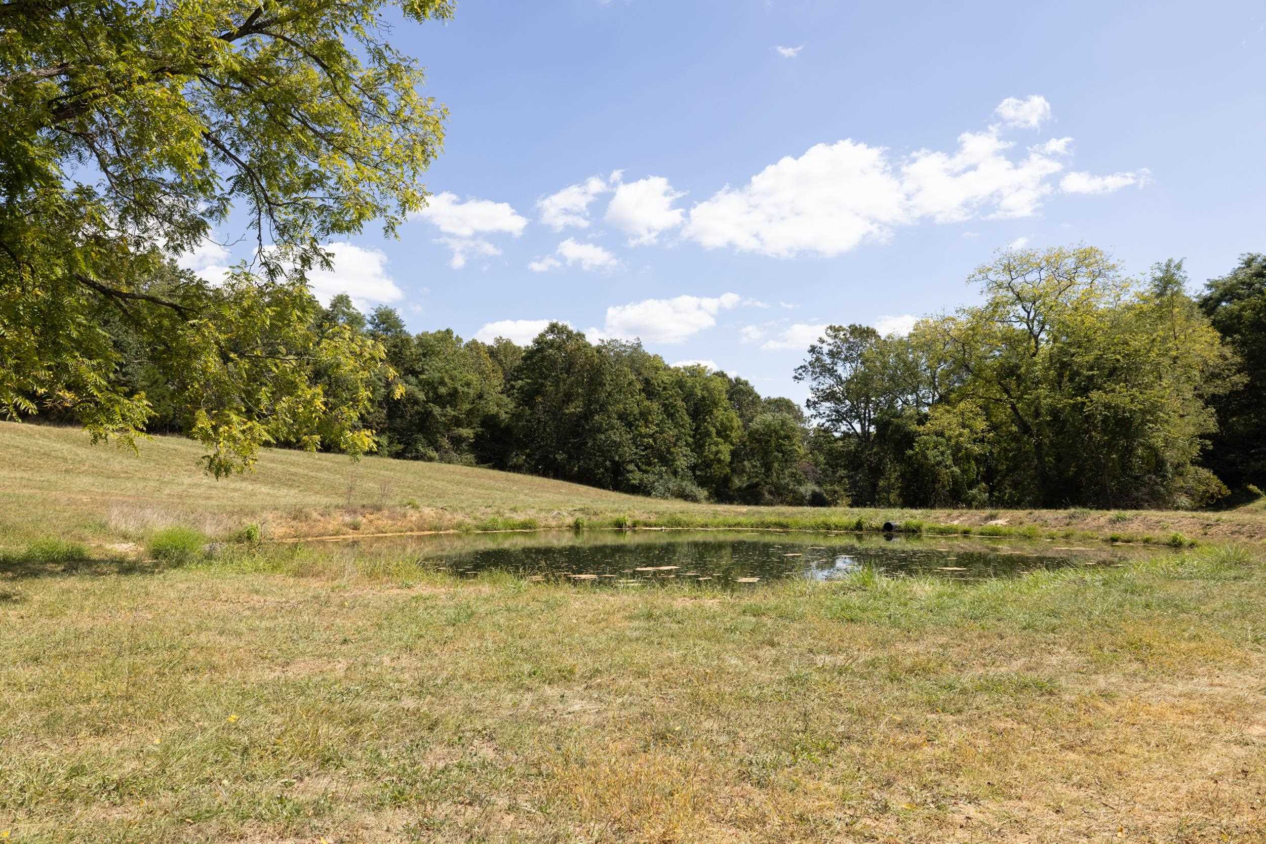 1370 MIDDLEBROOK RD, STAUNTON, Virginia 24401, ,Farm,Lola's Farm,1370 MIDDLEBROOK RD,674611 MLS # 674611 1370 MIDDLEBROOK RD, STAUNTON, Virginia 24401, ,Farm,Lola's Farm,1370 MIDDLEBROOK RD,674611 MLS # 674611