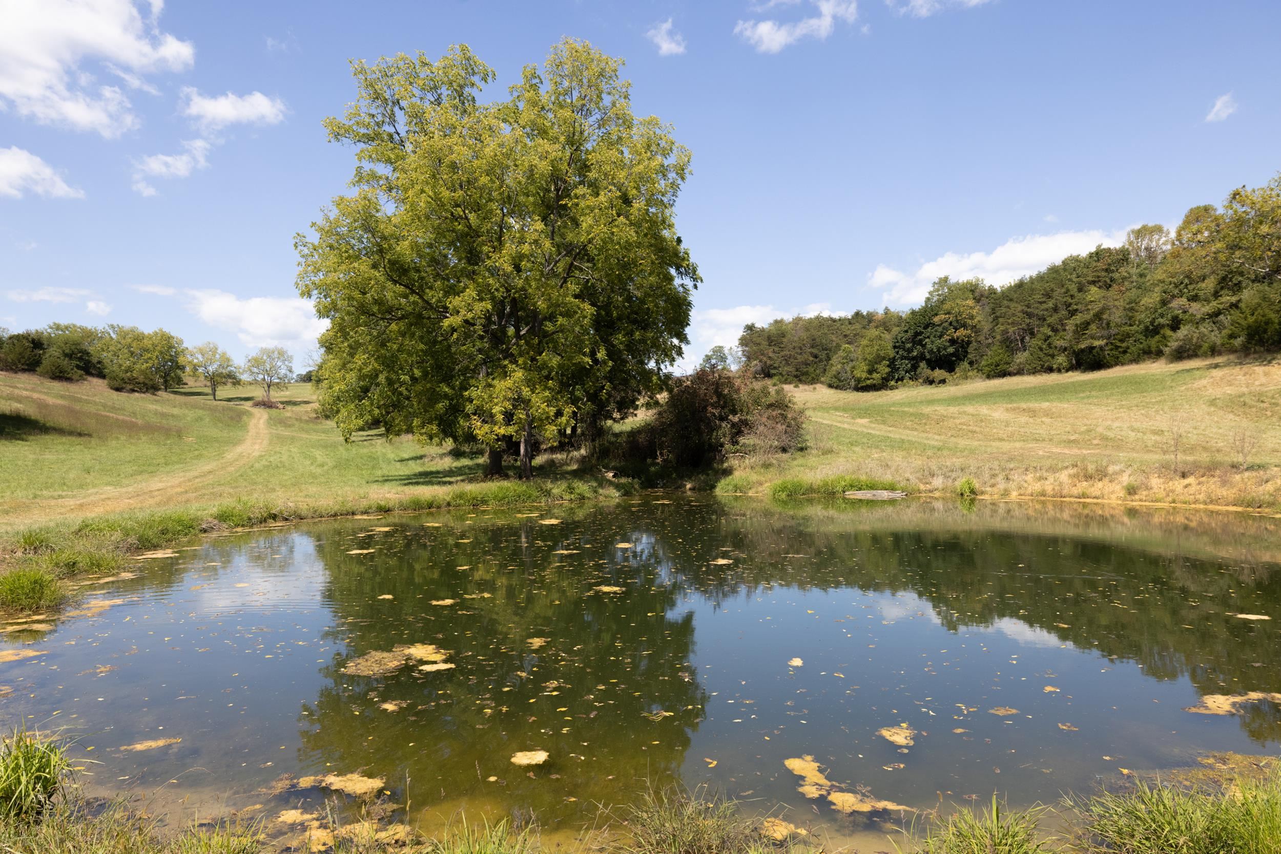 1370 MIDDLEBROOK RD, STAUNTON, Virginia 24401, ,Farm,Lola's Farm,1370 MIDDLEBROOK RD,674611 MLS # 674611 1370 MIDDLEBROOK RD, STAUNTON, Virginia 24401, ,Farm,Lola's Farm,1370 MIDDLEBROOK RD,674611 MLS # 674611