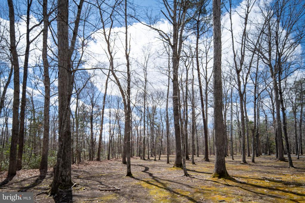 6531 LANES CORNER RD, SPOTSYLVANIA, Virginia 22551, 3 Bedrooms Bedrooms, ,3 BathroomsBathrooms,Residential,6531 LANES CORNER RD,VASP2039866 MLS # VASP2039866 6531 LANES CORNER RD, SPOTSYLVANIA, Virginia 22551, 3 Bedrooms Bedrooms, ,3 BathroomsBathrooms,Residential,6531 LANES CORNER RD,VASP2039866 MLS # VASP2039866