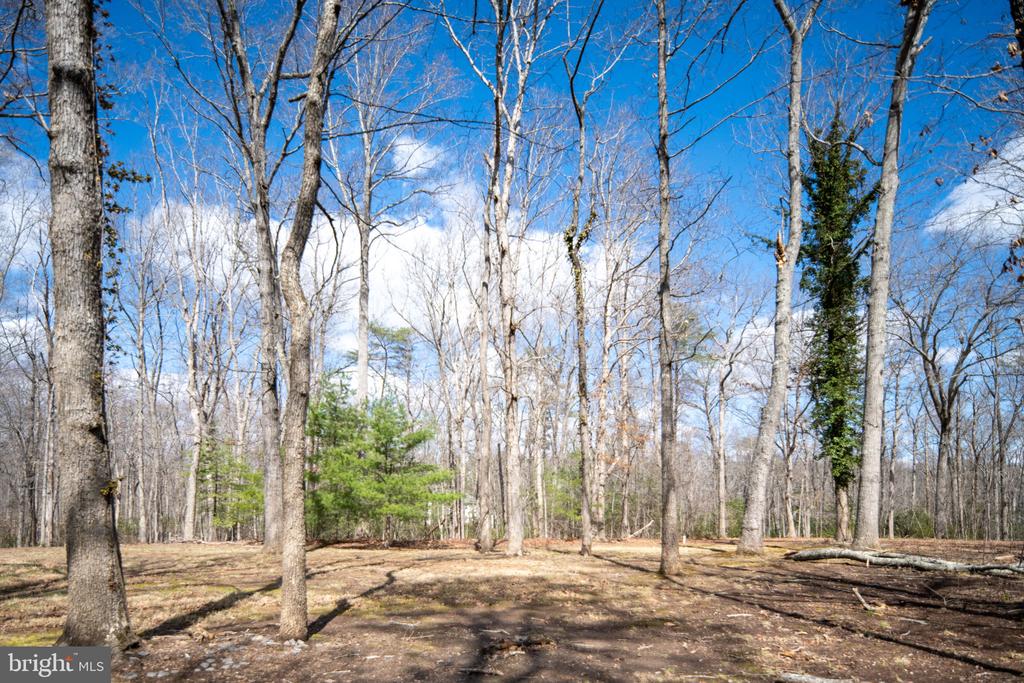 6531 LANES CORNER RD, SPOTSYLVANIA, Virginia 22551, 3 Bedrooms Bedrooms, ,3 BathroomsBathrooms,Residential,6531 LANES CORNER RD,VASP2039866 MLS # VASP2039866 6531 LANES CORNER RD, SPOTSYLVANIA, Virginia 22551, 3 Bedrooms Bedrooms, ,3 BathroomsBathrooms,Residential,6531 LANES CORNER RD,VASP2039866 MLS # VASP2039866