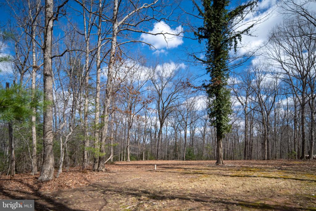 6531 LANES CORNER RD, SPOTSYLVANIA, Virginia 22551, 3 Bedrooms Bedrooms, ,3 BathroomsBathrooms,Residential,6531 LANES CORNER RD,VASP2039866 MLS # VASP2039866 6531 LANES CORNER RD, SPOTSYLVANIA, Virginia 22551, 3 Bedrooms Bedrooms, ,3 BathroomsBathrooms,Residential,6531 LANES CORNER RD,VASP2039866 MLS # VASP2039866