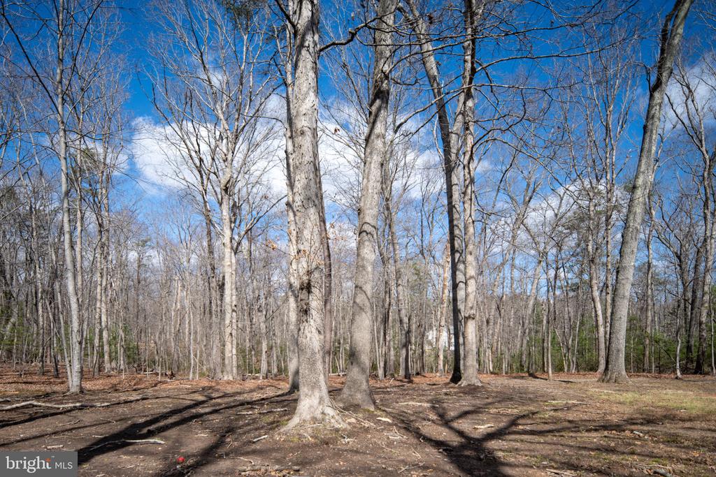 6531 LANES CORNER RD, SPOTSYLVANIA, Virginia 22551, 3 Bedrooms Bedrooms, ,3 BathroomsBathrooms,Residential,6531 LANES CORNER RD,VASP2039866 MLS # VASP2039866 6531 LANES CORNER RD, SPOTSYLVANIA, Virginia 22551, 3 Bedrooms Bedrooms, ,3 BathroomsBathrooms,Residential,6531 LANES CORNER RD,VASP2039866 MLS # VASP2039866