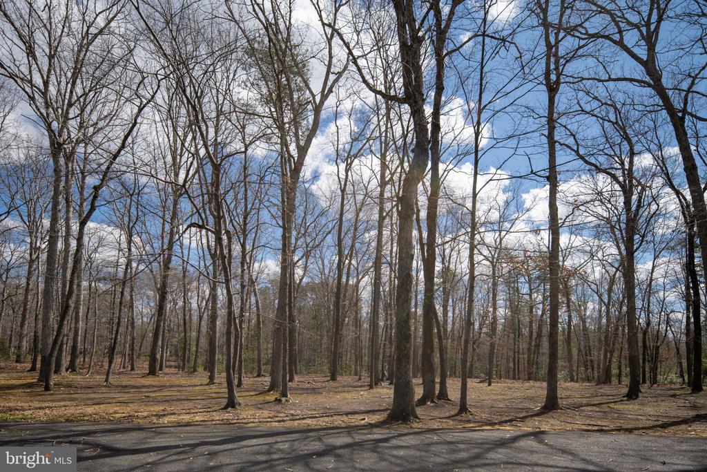 6531 LANES CORNER RD, SPOTSYLVANIA, Virginia 22551, 3 Bedrooms Bedrooms, ,3 BathroomsBathrooms,Residential,6531 LANES CORNER RD,VASP2039866 MLS # VASP2039866 6531 LANES CORNER RD, SPOTSYLVANIA, Virginia 22551, 3 Bedrooms Bedrooms, ,3 BathroomsBathrooms,Residential,6531 LANES CORNER RD,VASP2039866 MLS # VASP2039866