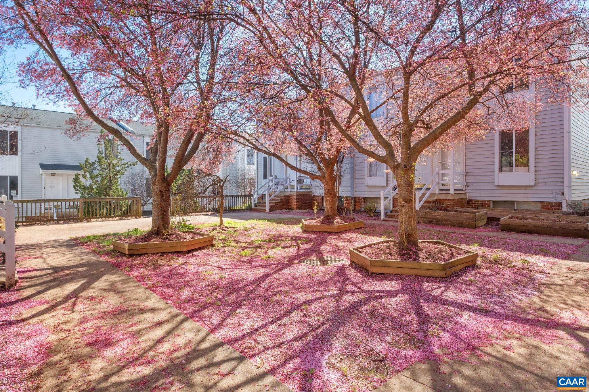 1908 INGLEWOOD DR, CHARLOTTESVILLE, Virginia 22901, 2 Bedrooms Bedrooms, ,2 BathroomsBathrooms,Residential,1908 INGLEWOOD DR,674589 MLS # 674589 1908 INGLEWOOD DR, CHARLOTTESVILLE, Virginia 22901, 2 Bedrooms Bedrooms, ,2 BathroomsBathrooms,Residential,1908 INGLEWOOD DR,674589 MLS # 674589