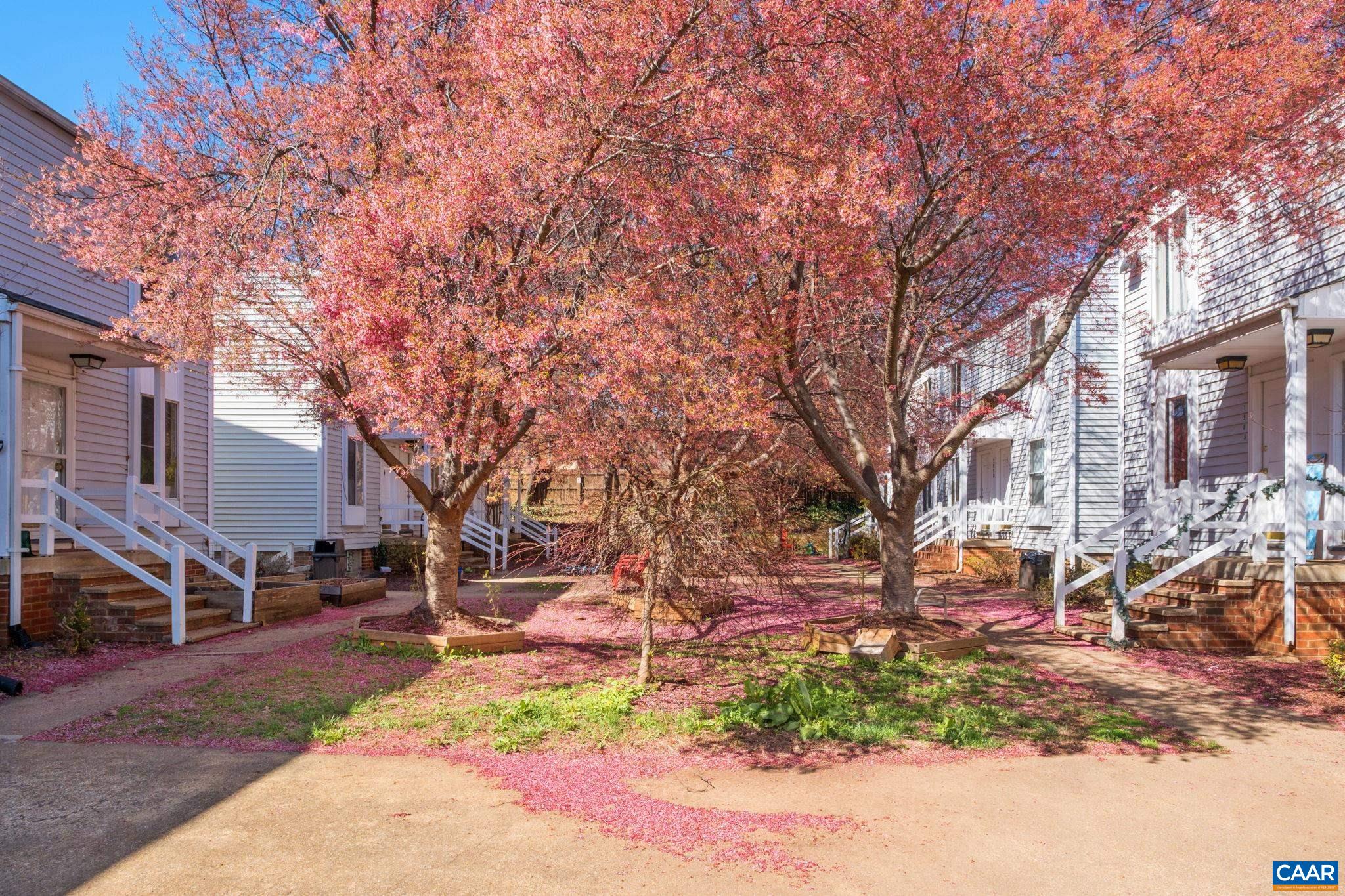 1908 INGLEWOOD DR, CHARLOTTESVILLE, Virginia 22901, 2 Bedrooms Bedrooms, ,2 BathroomsBathrooms,Residential,1908 INGLEWOOD DR,674589 MLS # 674589 1908 INGLEWOOD DR, CHARLOTTESVILLE, Virginia 22901, 2 Bedrooms Bedrooms, ,2 BathroomsBathrooms,Residential,1908 INGLEWOOD DR,674589 MLS # 674589