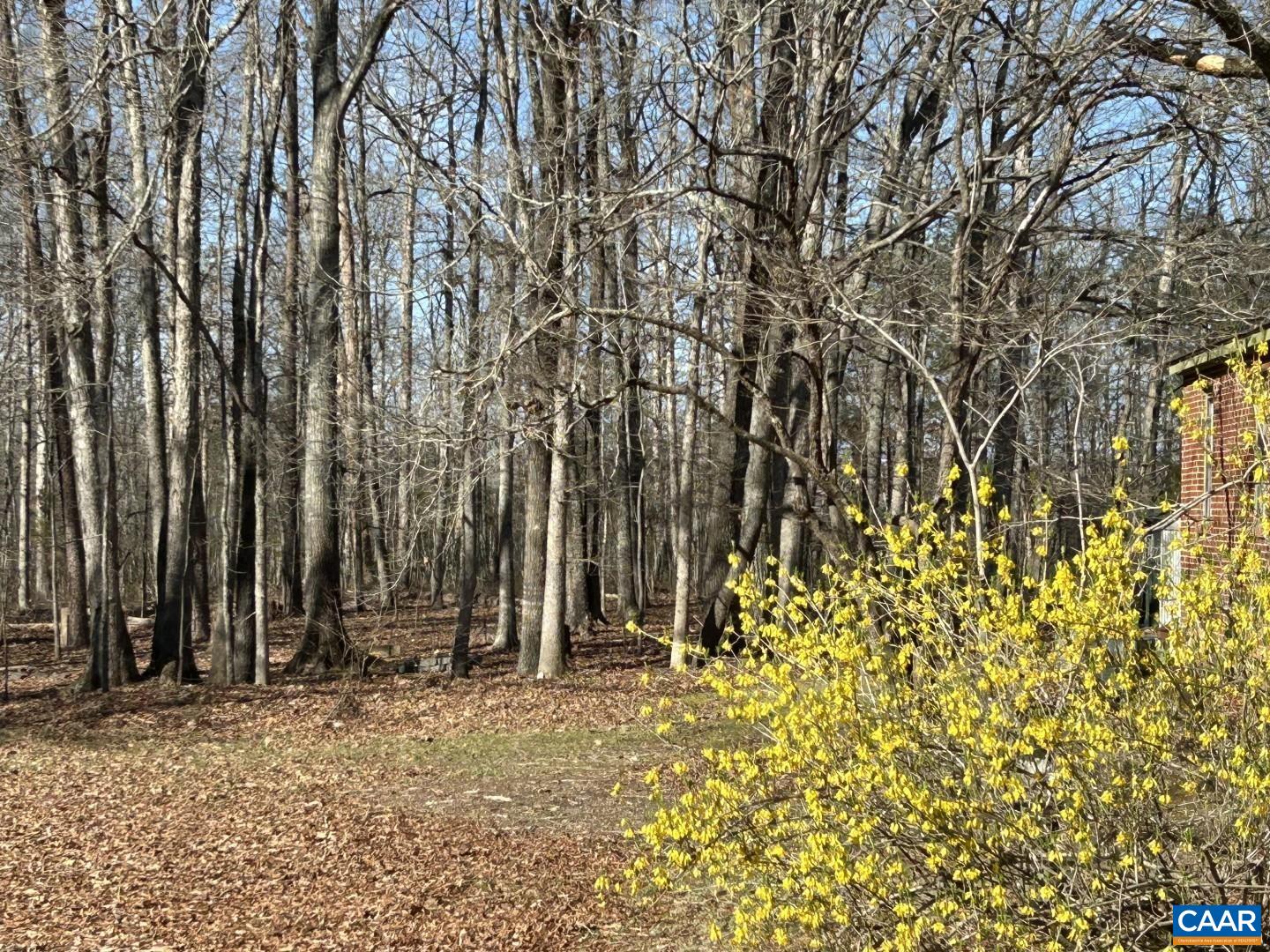 7714 BLENHEIM RD, SCOTTSVILLE, Virginia 24590, 3 Bedrooms Bedrooms, ,1 BathroomBathrooms,Residential,7714 BLENHEIM RD,674605 MLS # 674605 7714 BLENHEIM RD, SCOTTSVILLE, Virginia 24590, 3 Bedrooms Bedrooms, ,1 BathroomBathrooms,Residential,7714 BLENHEIM RD,674605 MLS # 674605