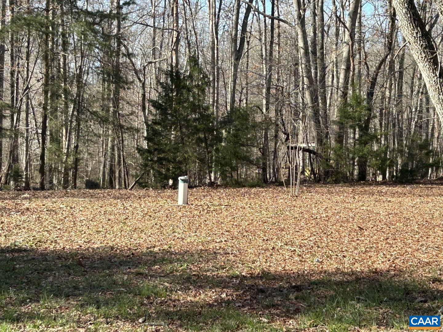 7714 BLENHEIM RD, SCOTTSVILLE, Virginia 24590, 3 Bedrooms Bedrooms, ,1 BathroomBathrooms,Residential,7714 BLENHEIM RD,674605 MLS # 674605 7714 BLENHEIM RD, SCOTTSVILLE, Virginia 24590, 3 Bedrooms Bedrooms, ,1 BathroomBathrooms,Residential,7714 BLENHEIM RD,674605 MLS # 674605